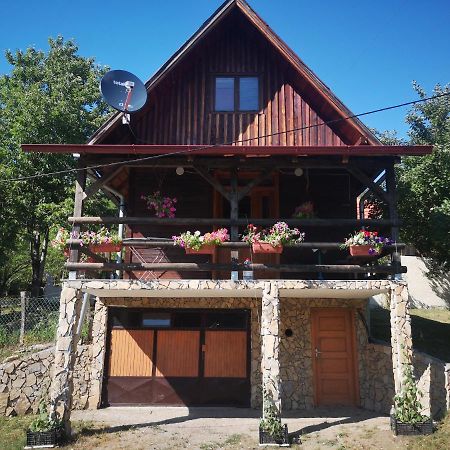 Vikendica Kod Brice Apartment Jevtici Екстериор снимка