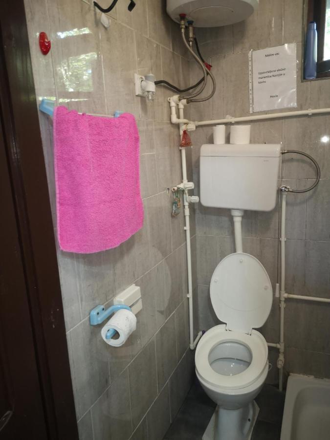 Vikendica Kod Brice Apartment Jevtici Екстериор снимка