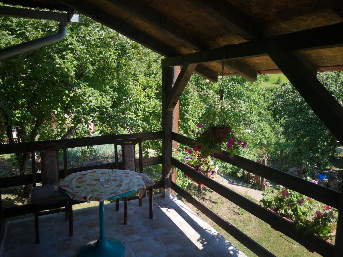 Vikendica Kod Brice Apartment Jevtici Екстериор снимка